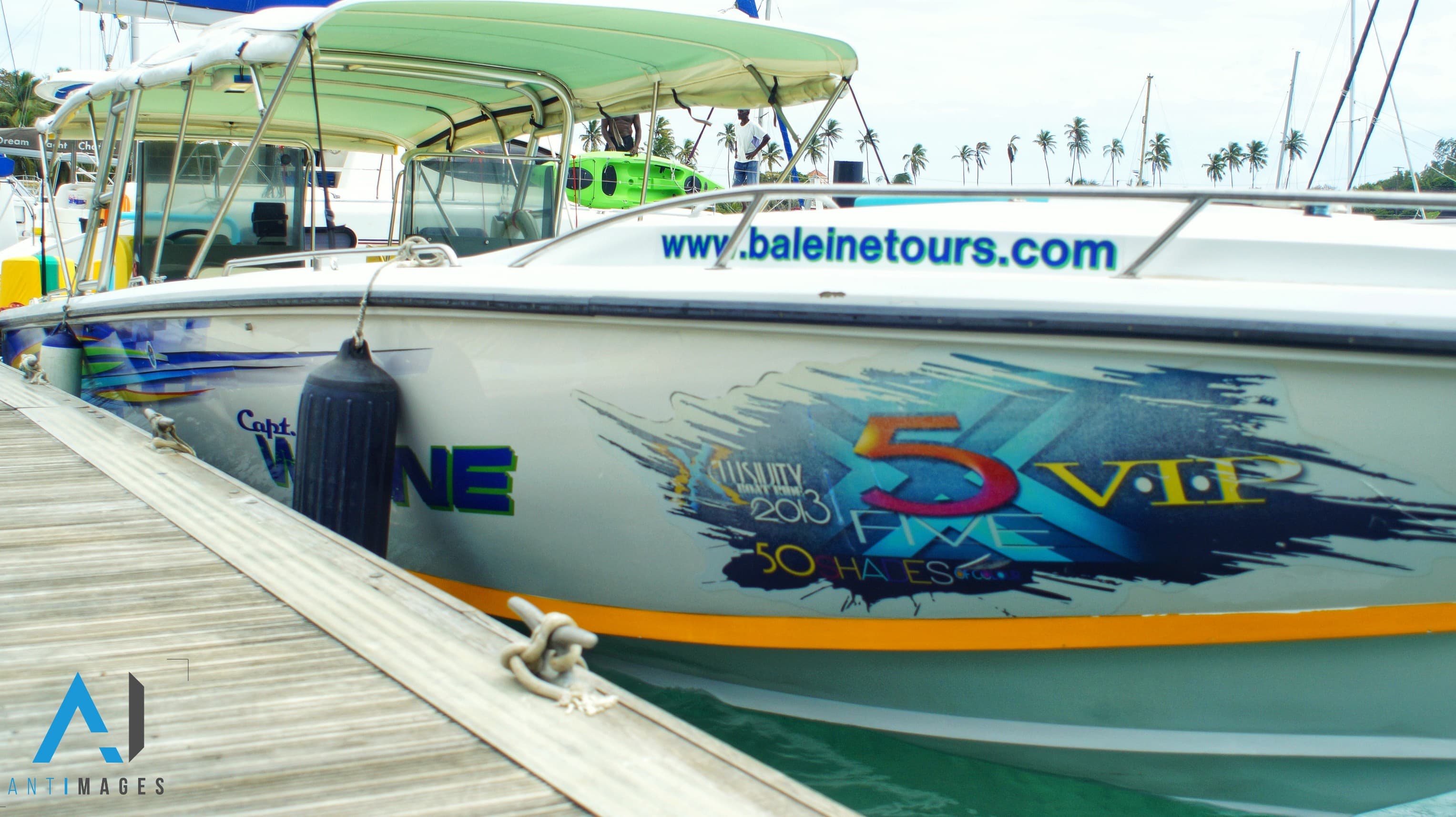 Captain Wayne background